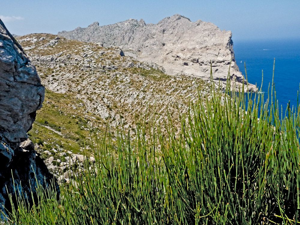 STEILKÜSTE BEI CAP FORMENTOR