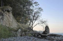 Steilküste bei Katharinenhof auf Fehmarn 2