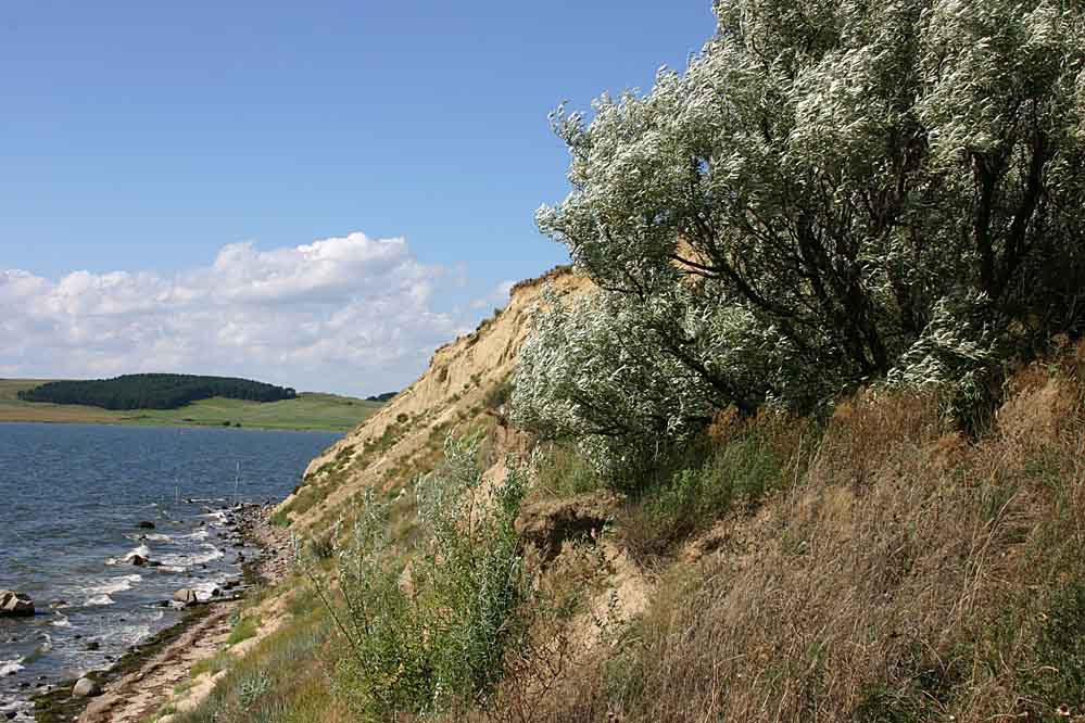 Steilküste bei Klein Zicker / Insel Rügen