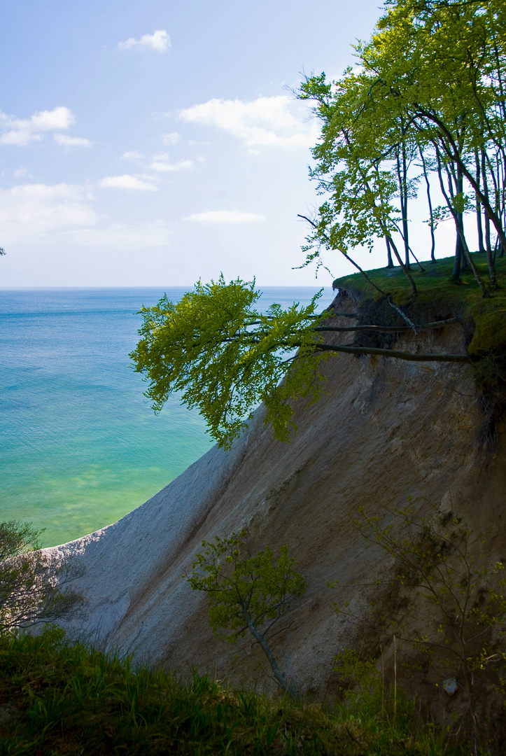 Steilküste bei Stubbenkammer (Rügen)