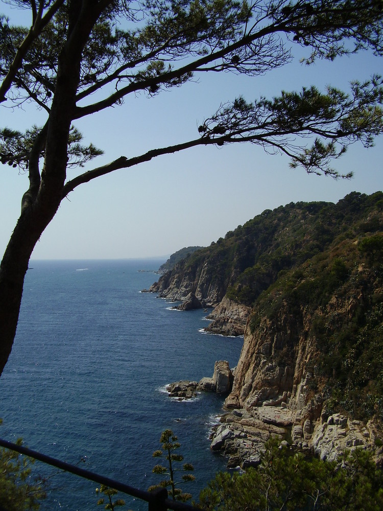 Steilküste bei Tossa de mar...