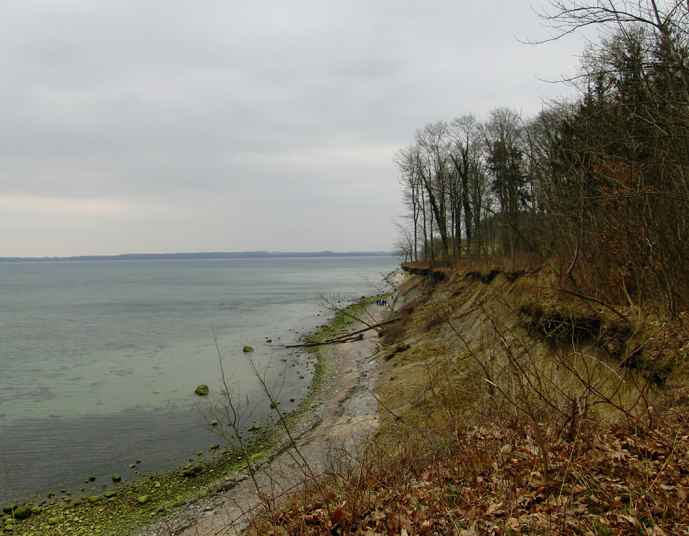 Steilküste bei Travemünde