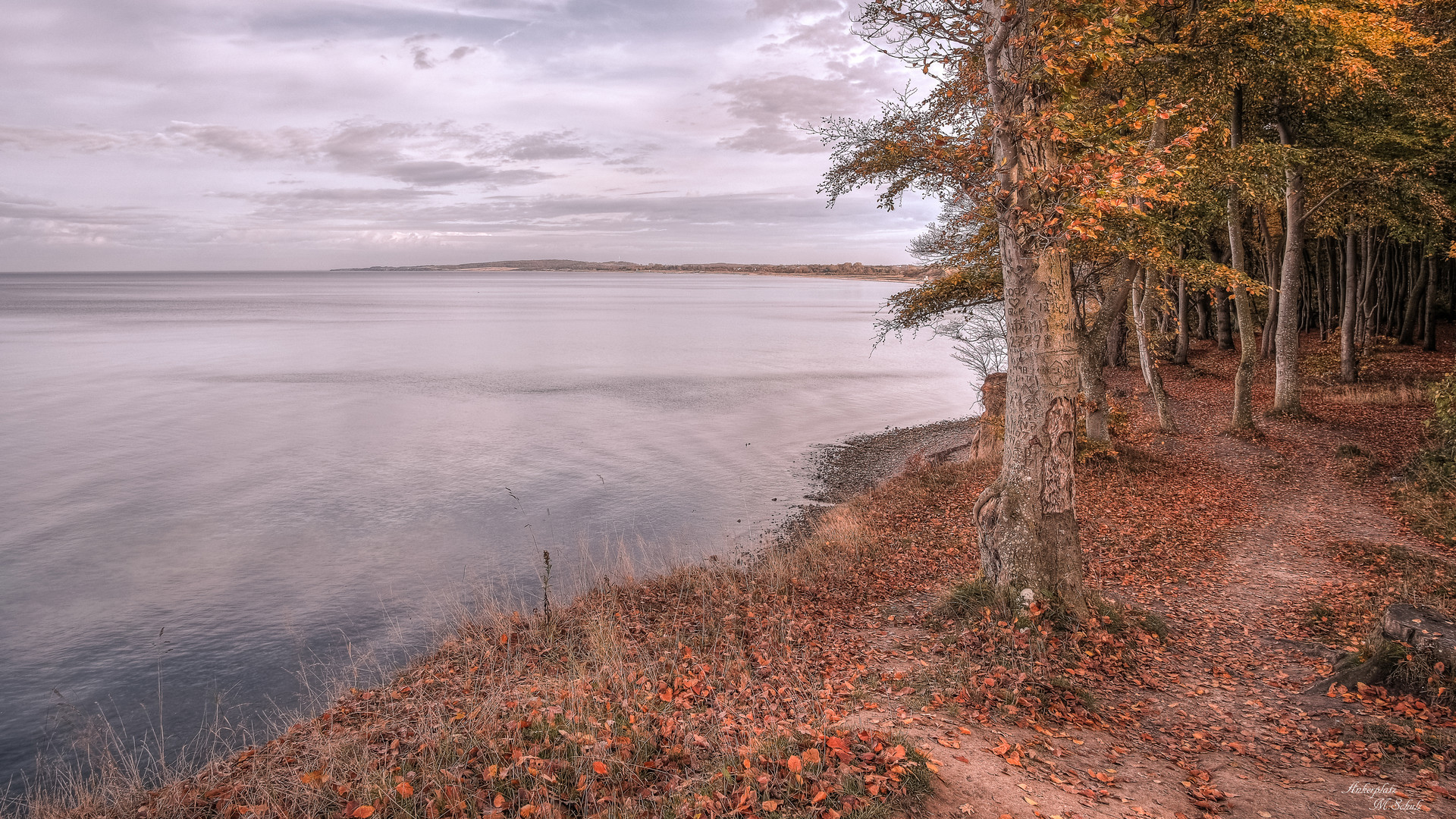 Steilküste bei Weißenhäuser Strand