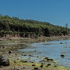 Steilküste der Insel Poel