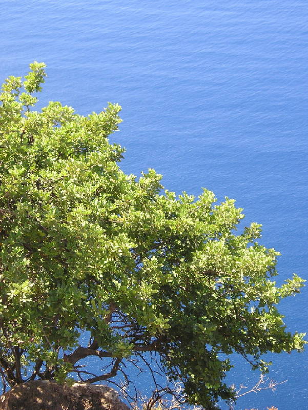 Steilküste in Alanya/ Türkei