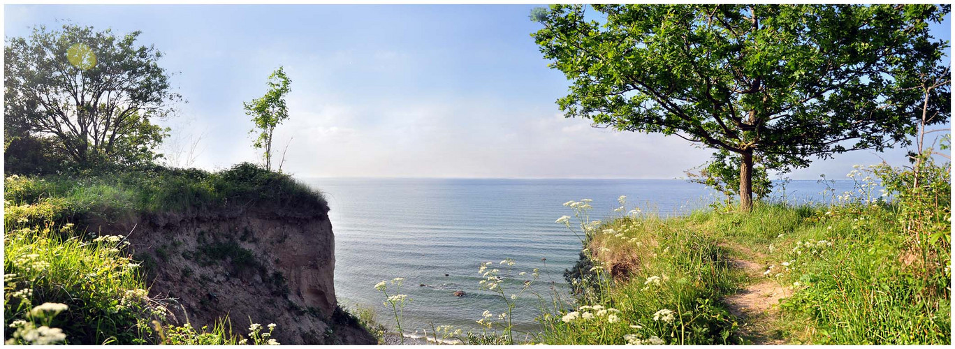 Steilküste in der Nähe von Boltenhagen (Ostsee)