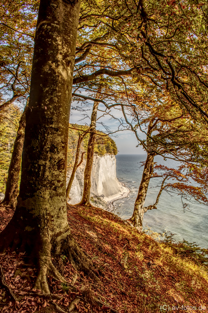 Steilküste Insel Rügen im Herbst