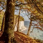 Steilküste Insel Rügen im Herbst