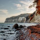 Steilküste Insel Rügen im Herbst