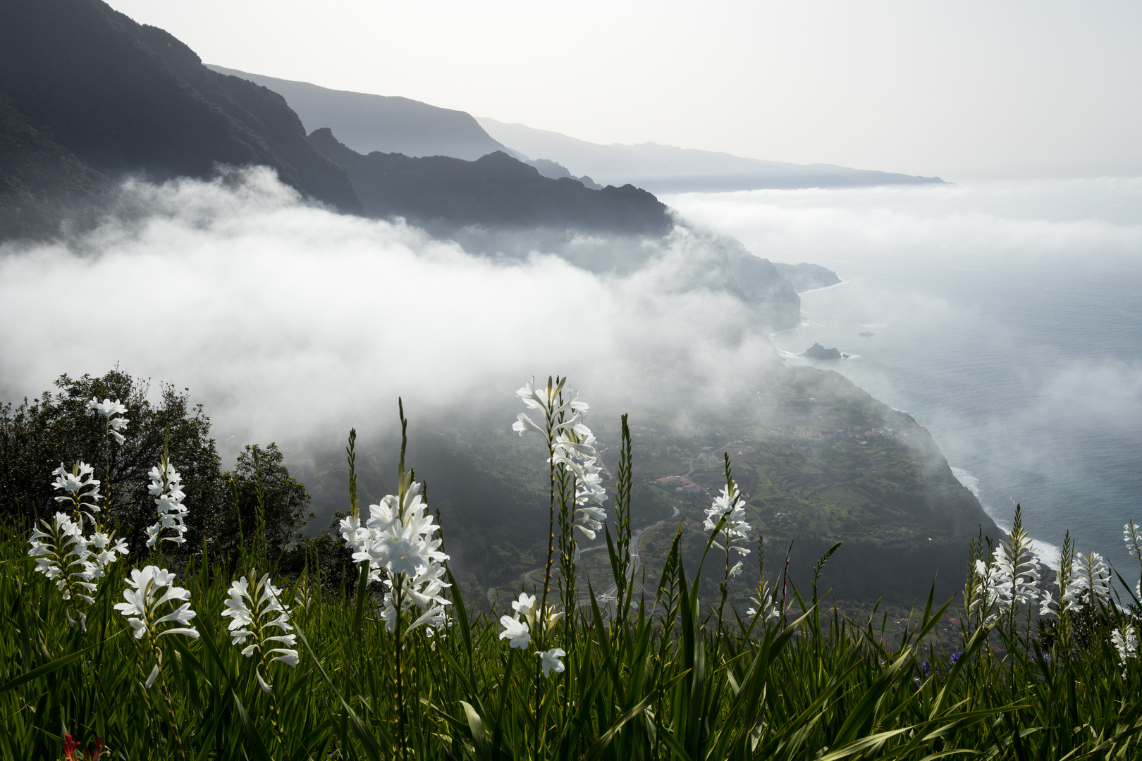 Steilküste Madeira