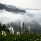 Steilküste Madeira