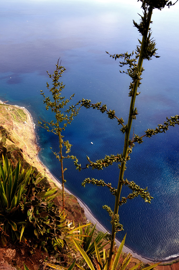 Steilküste Madeira