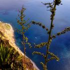 Steilküste Madeira
