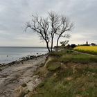 Steilküste mit Leuchtturm