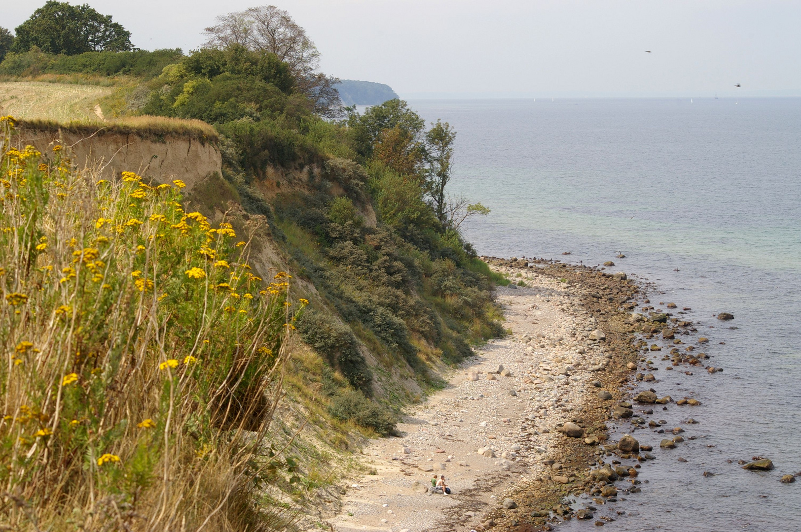 Steilküste nahe Boltenhagen