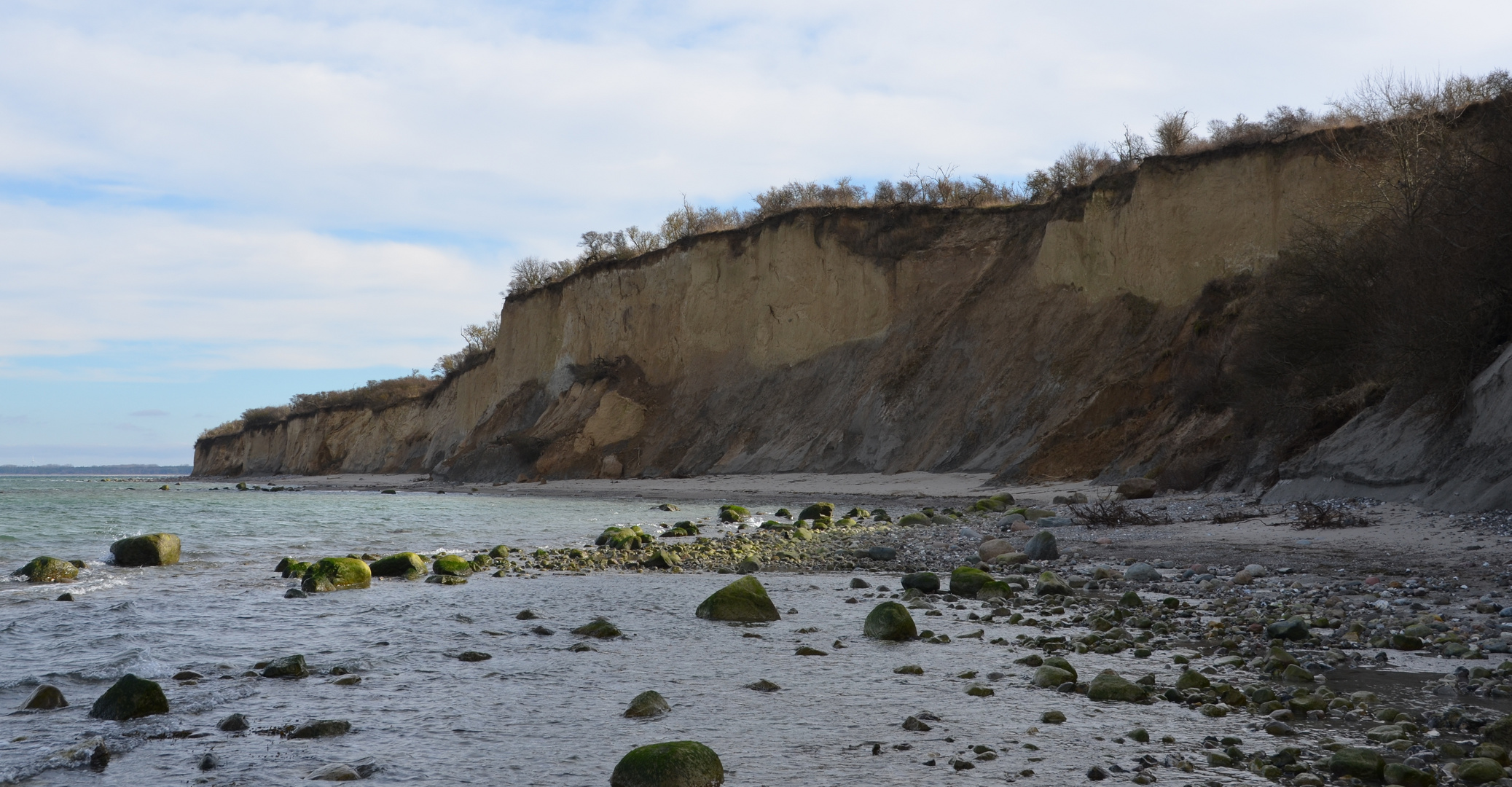 Steilküste  Norden /Hiddensee 