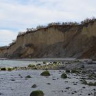 Steilküste  Norden /Hiddensee 