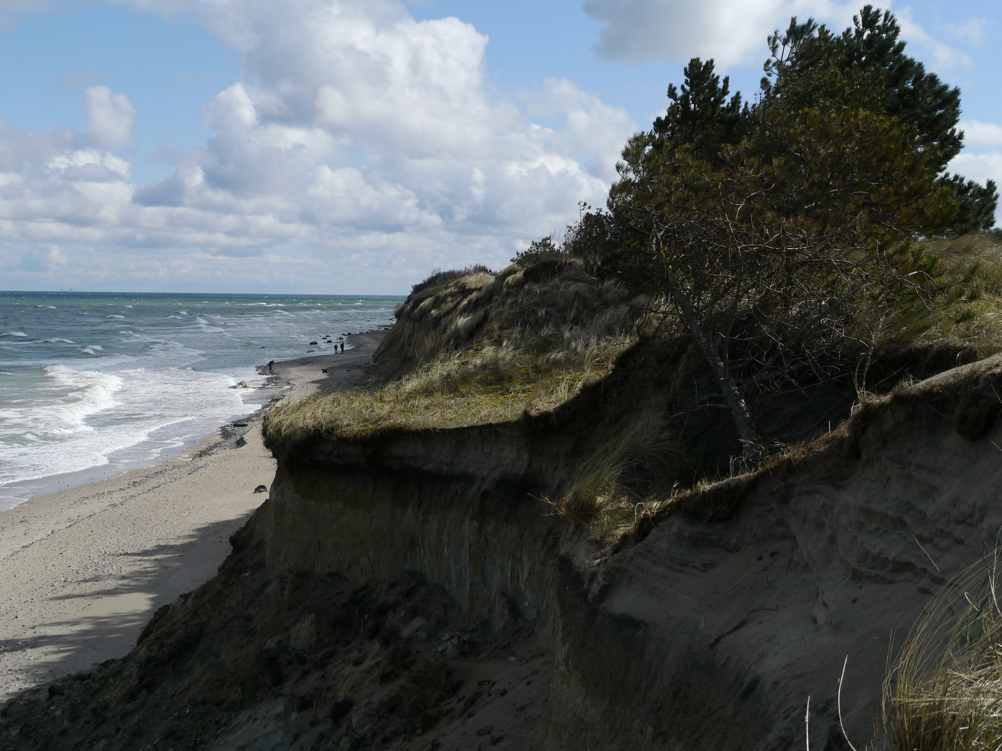 Steilküste Rügen