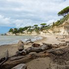 Steilküste und Strand bei Meschers-sur-Gironde