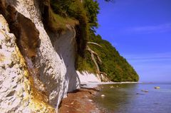 Steilküste unter dem Königstuhl  ( Ostseeinsel Rügen )