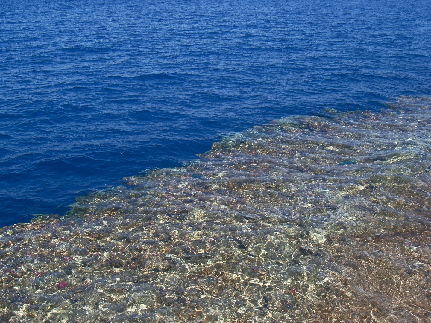 Steilküste unter Wasser