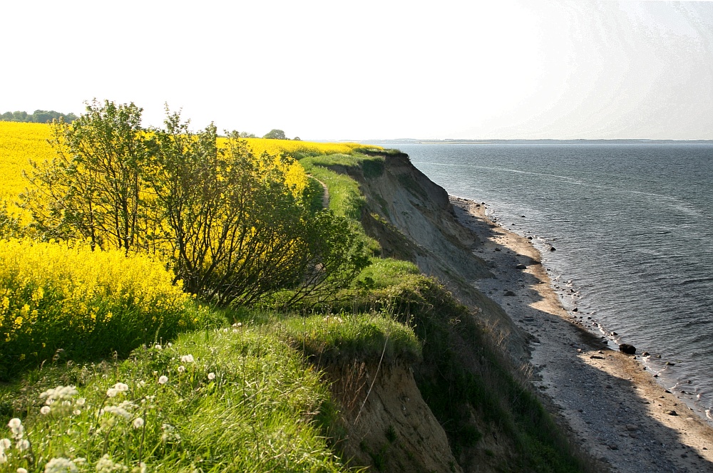 Steilküste zwischen der Kieler Förde und der Eckernförder Bucht