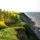 Steilküste zwischen der Kieler Förde und der Eckernförder Bucht