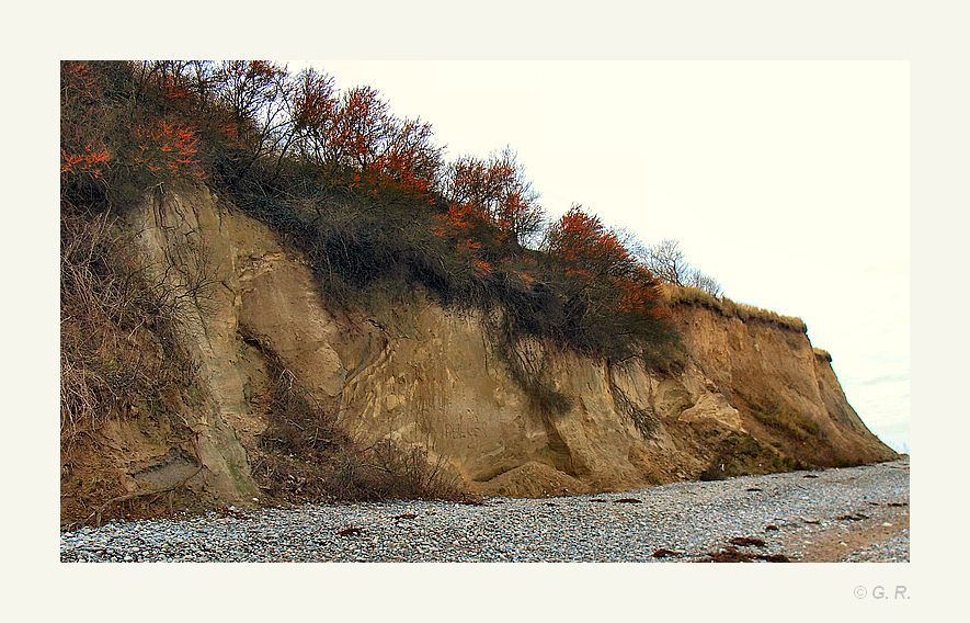 Steilküstenallerlei mit Sanddorn ,