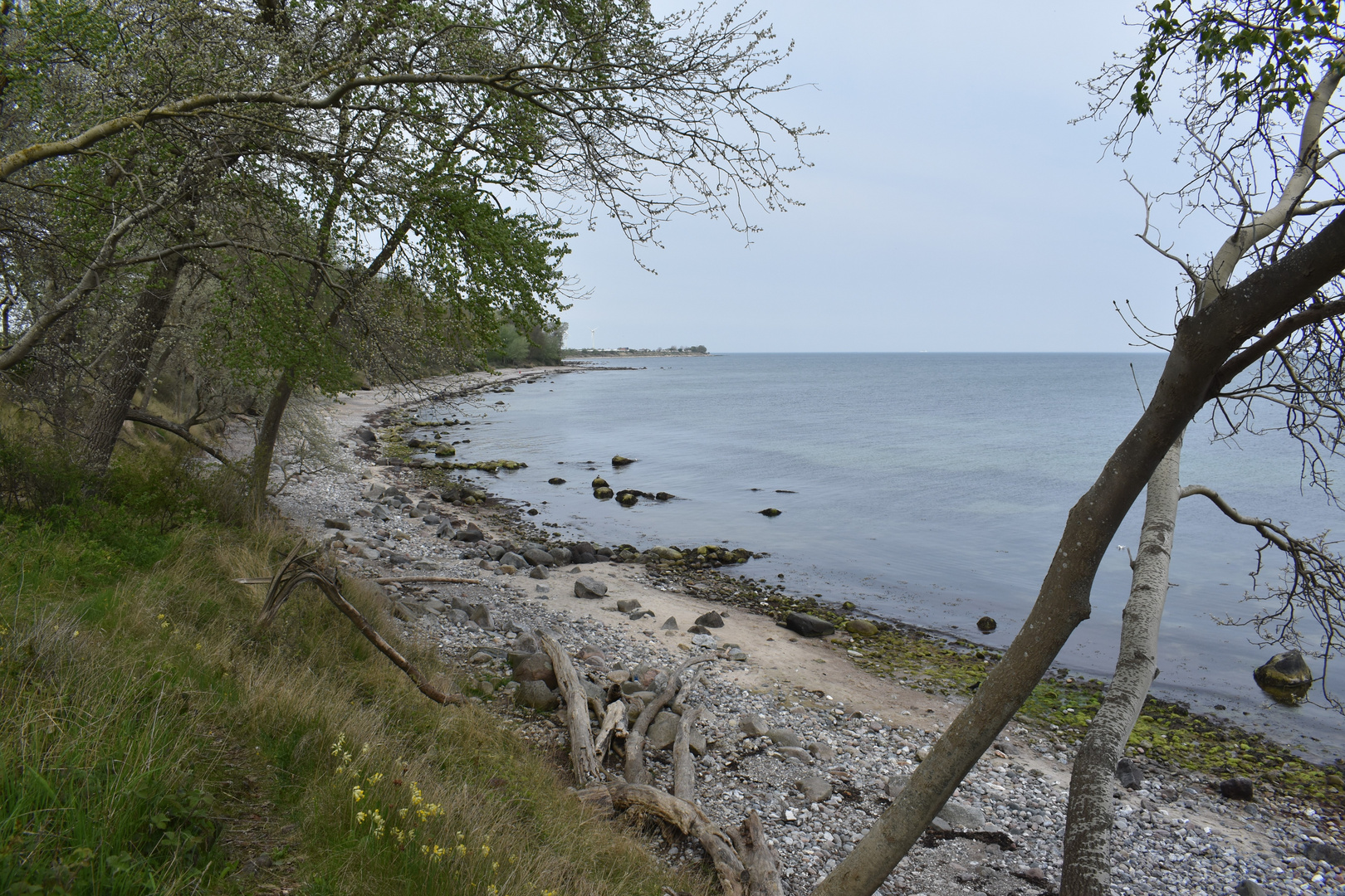 Steilküstenblick - Fehmarn