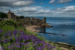 Steilküste,St. Andrews