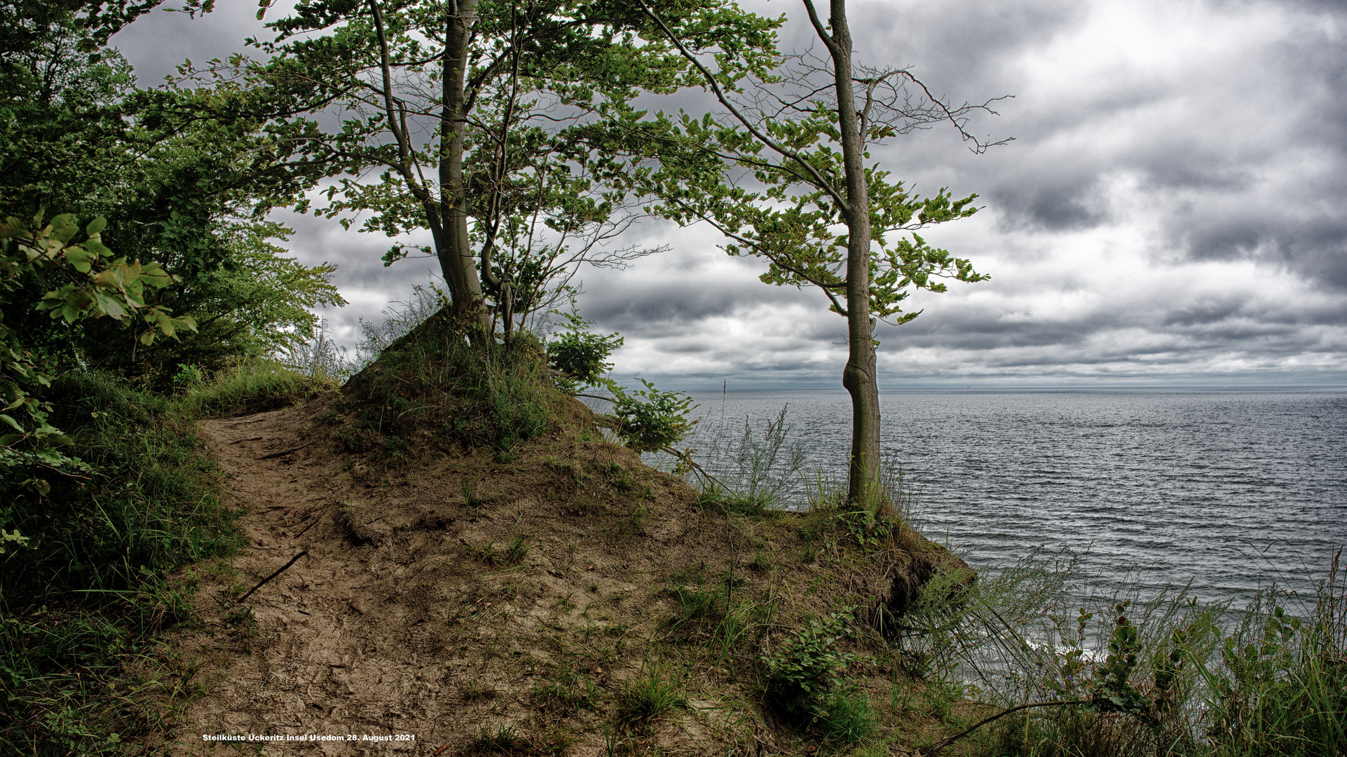 Steillüste bei Ückeritz Insel Usedom