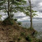 Steillüste bei Ückeritz Insel Usedom