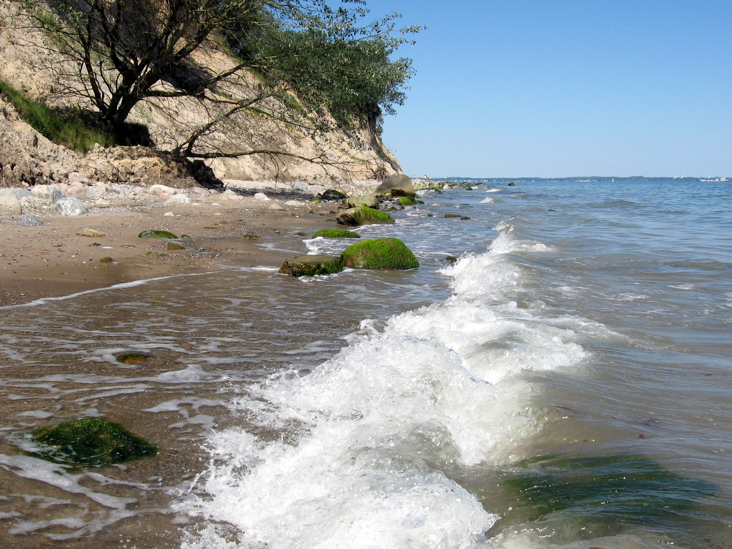 Steilufer an der Ostsee bei Brodten