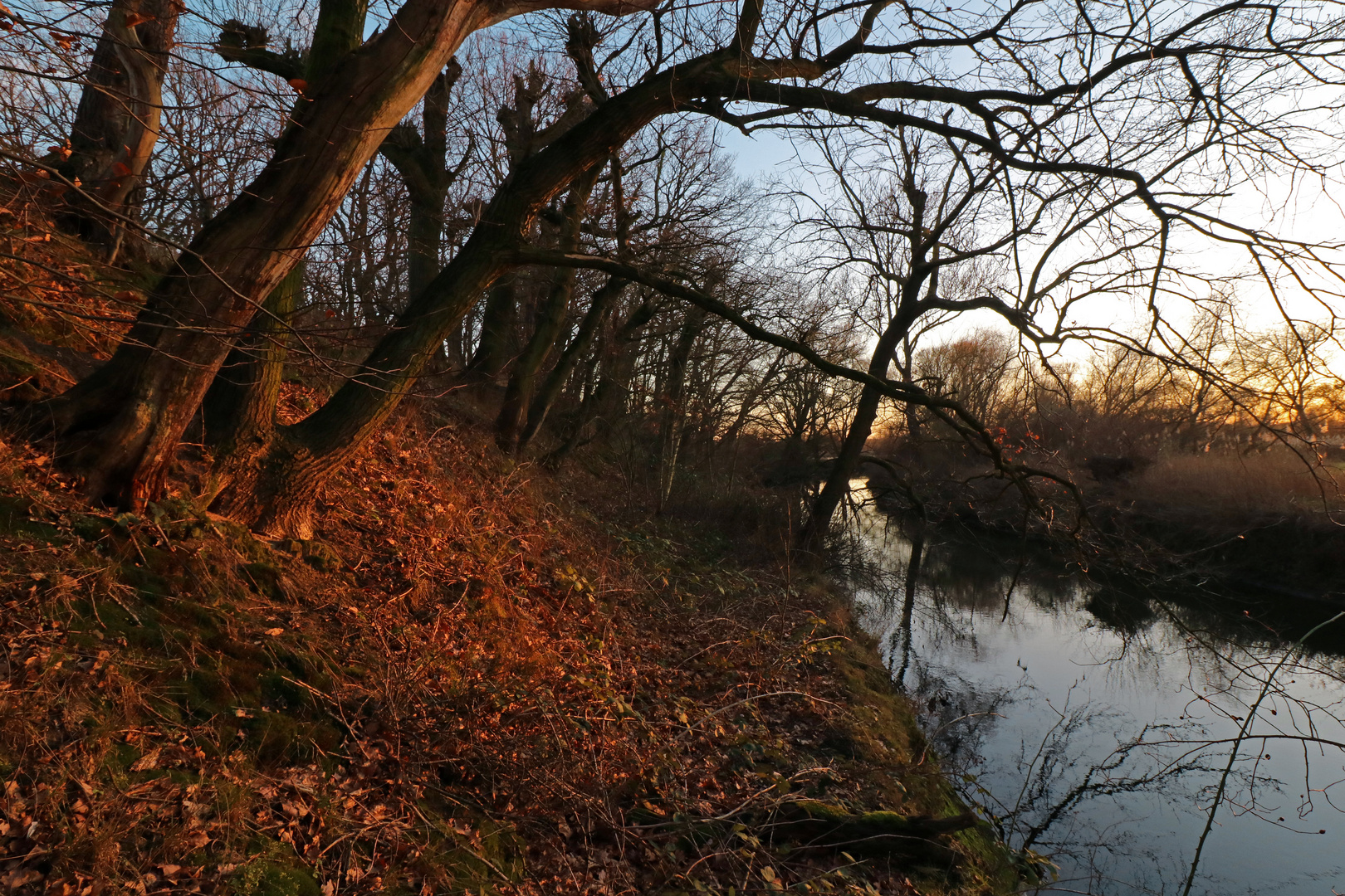 Steilufer im Abendlicht