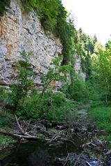 Steilwand in der Wutachschlucht