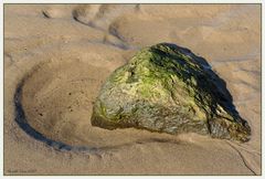 Stein am Elbstrand