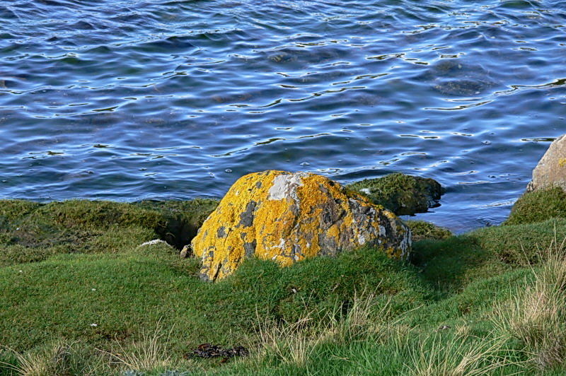 stein am fjord