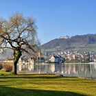  Stein am Rhein