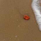 Stein am Strand