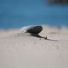 Stein am Strand