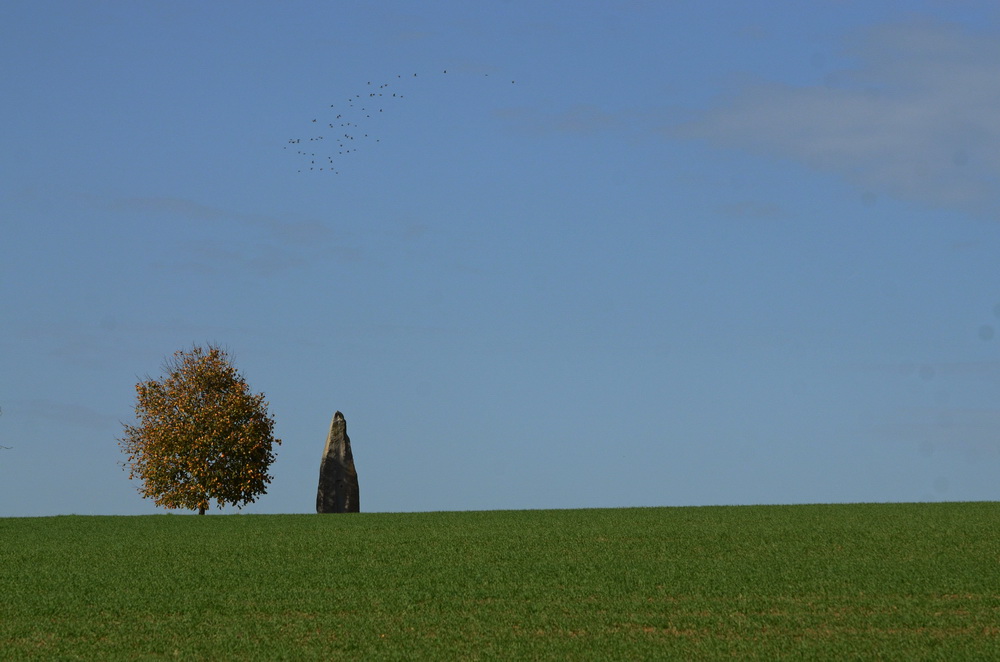 stein an der grenze