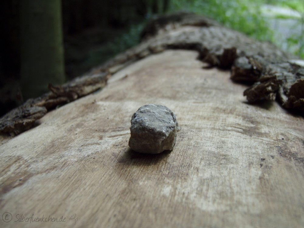 Stein auf Holz