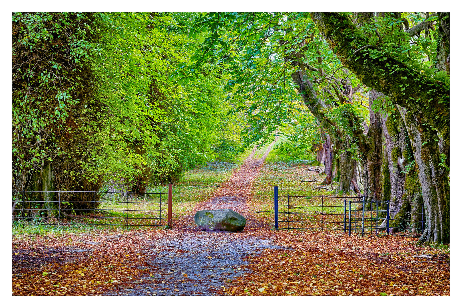 Stein auf meinem Weg