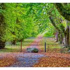 Stein auf meinem Weg