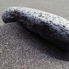 Stein auf schwarzem Sand