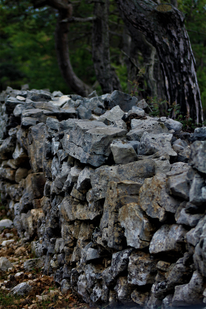 Stein auf Stein .. die alte Mauer