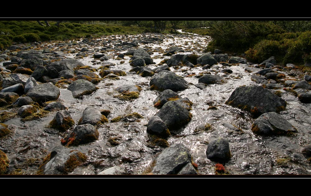 Stein-Bach-Tal