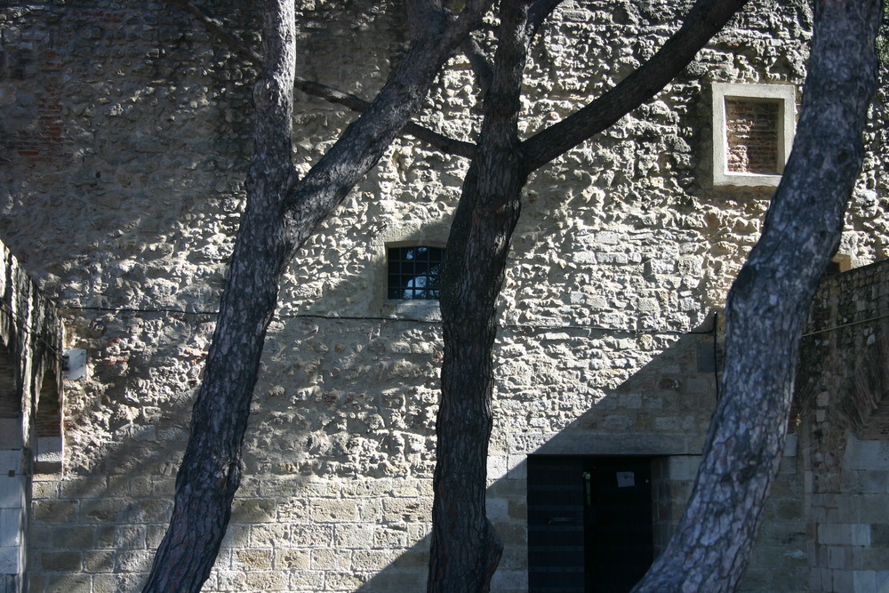 Stein, Baum, Sonne, Schatten