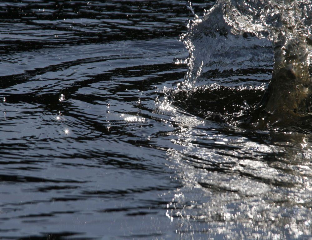 Stein Fällt ins Wasser - Splash...