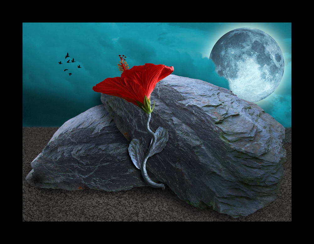 Stein-Garten Foto & Bild | archiv, künstliche welten, jury-voting